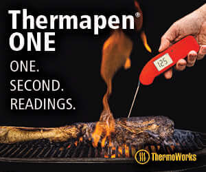 Thermapen ONE