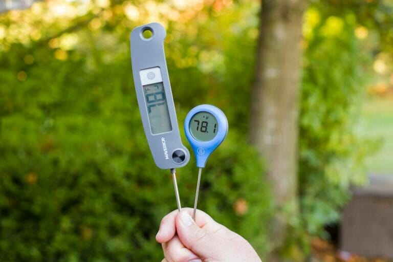 The Best Instant Read Thermometer of 2022 Expert Reviews