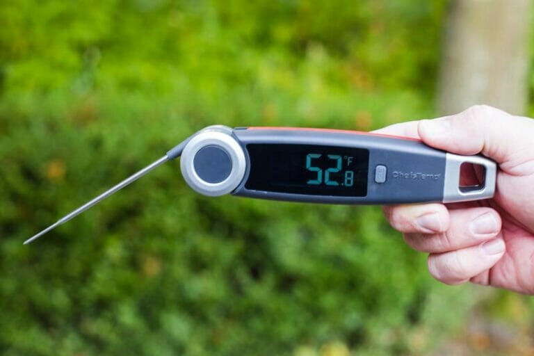 The Best Instant Read Thermometer of 2022 Expert Reviews