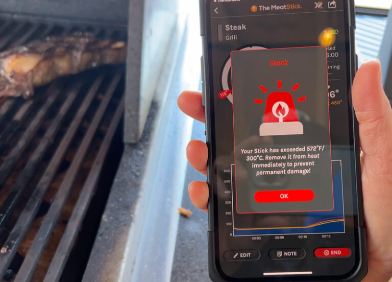 Best Wireless Meat Thermometer for (2025) Tested and Reviewed - The ...