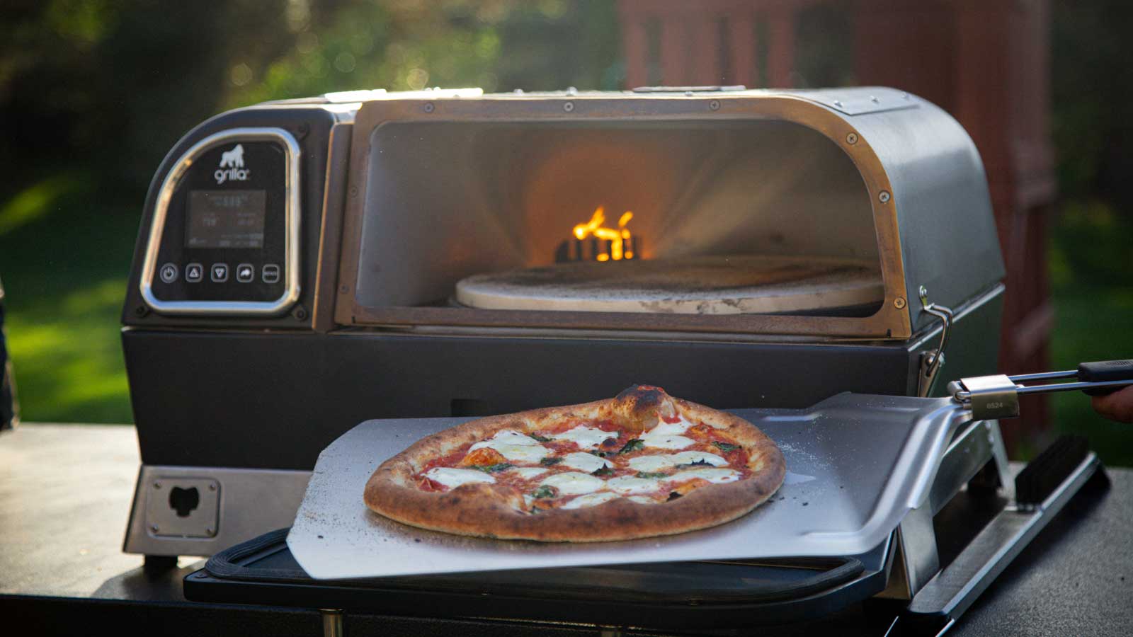 Grilla Pie-Ro review