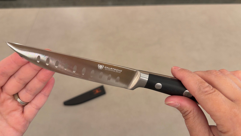 Dalstrong Gladiator steak knife